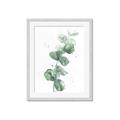 Picture of Green Eucalyptus I _GroupedProduct_Rectangle_Portrait_Framed_Matted_