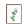 Picture of Green Eucalyptus I _GroupedProduct_Rectangle_Portrait_Framed_Matted_
