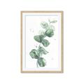 Picture of Green Eucalyptus I _GroupedProduct_Rectangle_Portrait_Framed_Matted_