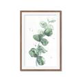 Picture of Green Eucalyptus I _GroupedProduct_Rectangle_Portrait_Framed_Matted_