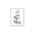 Picture of Green Eucalyptus II _GroupedProduct_Rectangle_Portrait_Framed_Matted_