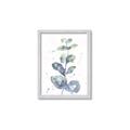 Picture of Green Eucalyptus II _GroupedProduct_Rectangle_Portrait_Framed_Matted_