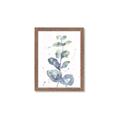 Picture of Green Eucalyptus II _GroupedProduct_Rectangle_Portrait_Framed_Matted_