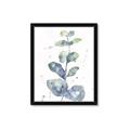 Picture of Green Eucalyptus II _GroupedProduct_Rectangle_Portrait_Framed_Matted_