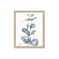 Picture of Green Eucalyptus II _GroupedProduct_Rectangle_Portrait_Framed_Matted_