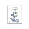 Picture of Green Eucalyptus II _GroupedProduct_Rectangle_Portrait_Framed_Matted_