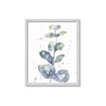 Picture of Green Eucalyptus II _GroupedProduct_Rectangle_Portrait_Framed_Matted_
