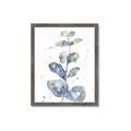Picture of Green Eucalyptus II _GroupedProduct_Rectangle_Portrait_Framed_Matted_