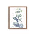 Picture of Green Eucalyptus II _GroupedProduct_Rectangle_Portrait_Framed_Matted_