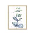 Picture of Green Eucalyptus II _GroupedProduct_Rectangle_Portrait_Framed_Matted_