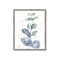 Picture of Green Eucalyptus II _GroupedProduct_Rectangle_Portrait_Framed_Matted_