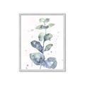 Picture of Green Eucalyptus II _GroupedProduct_Rectangle_Portrait_Framed_Matted_