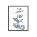 Picture of Green Eucalyptus II _GroupedProduct_Rectangle_Portrait_Framed_Matted_