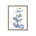 Picture of Green Eucalyptus II _GroupedProduct_Rectangle_Portrait_Framed_Matted_