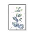 Picture of Green Eucalyptus II _GroupedProduct_Rectangle_Portrait_Framed_Matted_