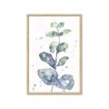 Picture of Green Eucalyptus II _GroupedProduct_Rectangle_Portrait_Framed_Matted_