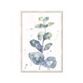 Picture of Green Eucalyptus II _GroupedProduct_Rectangle_Portrait_Framed_Matted_