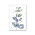 Picture of Green Eucalyptus II _GroupedProduct_Rectangle_Portrait_Framed_Matted_