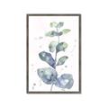 Picture of Green Eucalyptus II _GroupedProduct_Rectangle_Portrait_Framed_Matted_
