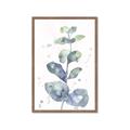 Picture of Green Eucalyptus II _GroupedProduct_Rectangle_Portrait_Framed_Matted_
