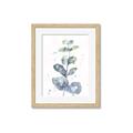 Picture of Green Eucalyptus II _GroupedProduct_Rectangle_Portrait_Framed_Matted_