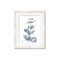 Picture of Green Eucalyptus II _GroupedProduct_Rectangle_Portrait_Framed_Matted_