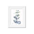 Picture of Green Eucalyptus II _GroupedProduct_Rectangle_Portrait_Framed_Matted_