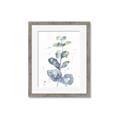 Picture of Green Eucalyptus II _GroupedProduct_Rectangle_Portrait_Framed_Matted_