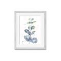 Picture of Green Eucalyptus II _GroupedProduct_Rectangle_Portrait_Framed_Matted_