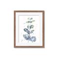 Picture of Green Eucalyptus II _GroupedProduct_Rectangle_Portrait_Framed_Matted_