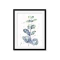 Picture of Green Eucalyptus II _GroupedProduct_Rectangle_Portrait_Framed_Matted_