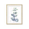 Picture of Green Eucalyptus II _GroupedProduct_Rectangle_Portrait_Framed_Matted_