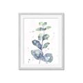 Picture of Green Eucalyptus II _GroupedProduct_Rectangle_Portrait_Framed_Matted_