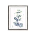 Picture of Green Eucalyptus II _GroupedProduct_Rectangle_Portrait_Framed_Matted_