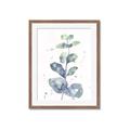 Picture of Green Eucalyptus II _GroupedProduct_Rectangle_Portrait_Framed_Matted_