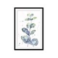 Picture of Green Eucalyptus II _GroupedProduct_Rectangle_Portrait_Framed_Matted_