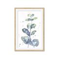 Picture of Green Eucalyptus II _GroupedProduct_Rectangle_Portrait_Framed_Matted_