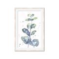 Picture of Green Eucalyptus II _GroupedProduct_Rectangle_Portrait_Framed_Matted_