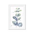 Picture of Green Eucalyptus II _GroupedProduct_Rectangle_Portrait_Framed_Matted_