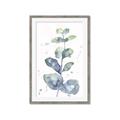 Picture of Green Eucalyptus II _GroupedProduct_Rectangle_Portrait_Framed_Matted_