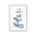 Picture of Green Eucalyptus II _GroupedProduct_Rectangle_Portrait_Framed_Matted_