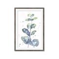 Picture of Green Eucalyptus II _GroupedProduct_Rectangle_Portrait_Framed_Matted_