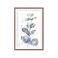 Picture of Green Eucalyptus II _GroupedProduct_Rectangle_Portrait_Framed_Matted_