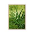 Picture of Fresh Palm Leaves I _GroupedProduct_Rectangle_Portrait_Framed_Matted_
