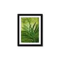 Picture of Fresh Palm Leaves I _GroupedProduct_Rectangle_Portrait_Framed_Matted_