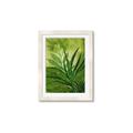 Picture of Fresh Palm Leaves I _GroupedProduct_Rectangle_Portrait_Framed_Matted_