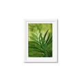 Picture of Fresh Palm Leaves I _GroupedProduct_Rectangle_Portrait_Framed_Matted_