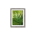 Picture of Fresh Palm Leaves I _GroupedProduct_Rectangle_Portrait_Framed_Matted_