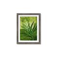 Picture of Fresh Palm Leaves I _GroupedProduct_Rectangle_Portrait_Framed_Matted_
