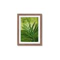 Picture of Fresh Palm Leaves I _GroupedProduct_Rectangle_Portrait_Framed_Matted_